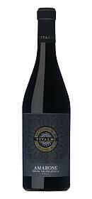 Vivaldi Amarone della Valpolicella