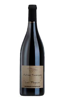 Sanzay Saumur-Champigny Poyeux