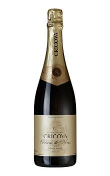 Cricova Blanc de Noirs