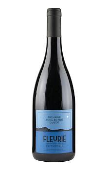 Anne-Sophie Dubois Fleurie l'Alchimiste