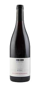 Heger Merdinger Bühl Spätburgunder