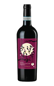 Dacastello Irpinia Aglianico