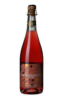 Zanasi Intrigante Lambrusco Grasparossa di Castelvetro Frizzante Rosé
