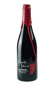 Wild Beer Beyond Modus