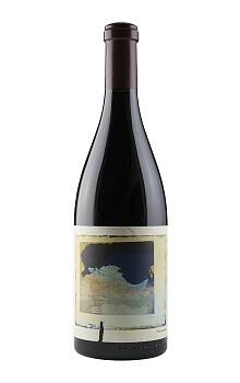 Chanin Bien Nacido Pinot Noir