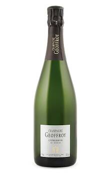 René Geoffroy Expression