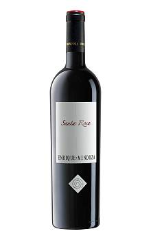 Enrique Mendoza Santa Rosa