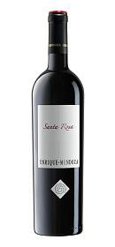 Enrique Mendoza Santa Rosa