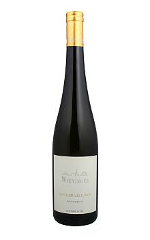 Wieninger Grüner Veltliner Nussberg