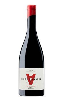 Víctor Ausejo Garnacha Tinta