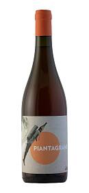 Villa Job Piantagrane