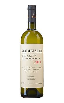 Neumeister Ried Saziani Grauburgunder