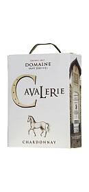 Saint Jean de la Cavalerie Chardonnay