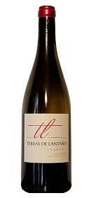 Terras de Lantaño Albariño