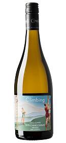 Climbing Chardonnay