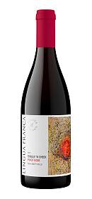 Lingua Franca Pinot Noir Tongue & Cheek