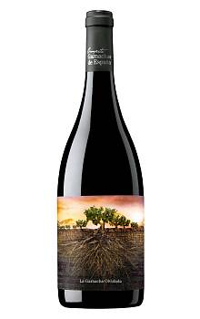 Proyecto Garnachas de España La Granatxa Olvidada de Aragon