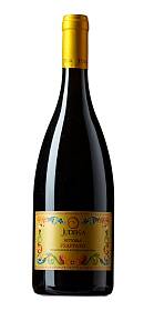 Judeka Vittoria Frappato