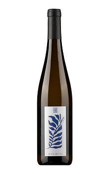 Vignoble du Rêveur Alsace Au fil de l'Ill