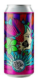 Amundsen Berry Enchantress Dbl Raspberry Gose