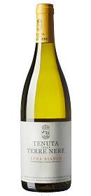 Terre Nere Etna Bianco