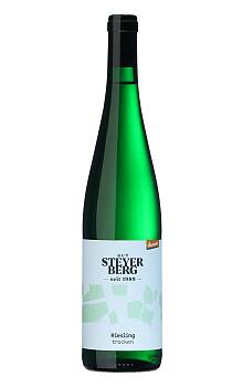 Gut Steyerberg Steyerberg Riesling Trocken