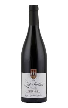 Daguneau Les Montées de Saint Lay Pinot Noir