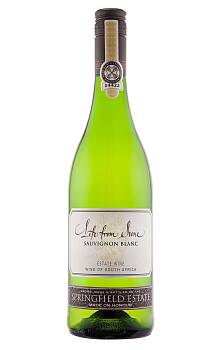Springfield Estate Life from Stone Sauvignon Blanc