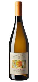 Michele Chiarlo Gavi le Marne