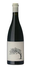 Savage The girl next door Syrah