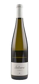 Rodrigo Méndez Sálvora