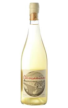 Road Runner Correcaminos