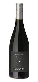 Ismael Gozalo Sietejuntos Syrah