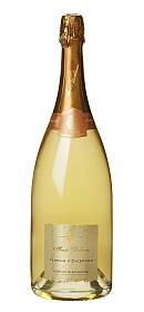 Delorme Terroir d'Exception Crémant de Bourgogne Blanc de Blancs