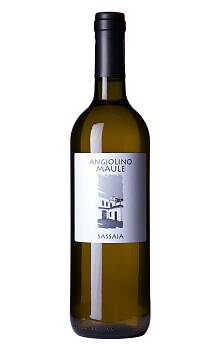 Angiolino Maule Sassaia