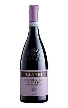 Cesari Valpolicella Ripasso Superiore
