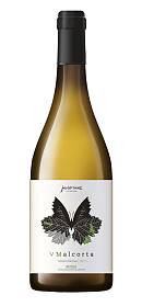 Javier Sanz V Malcorta