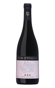 Flor de Penalva