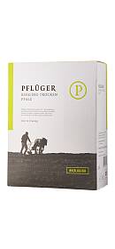 Pflüger Riesling Trocken