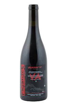 Cornelissen Munjebel VA
