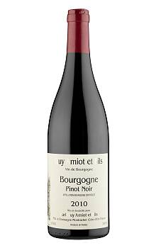 Guy Amiot Bourgogne Pinot Noir 2012
