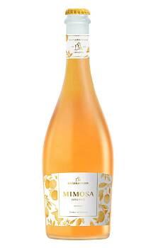 Mimosa Orange