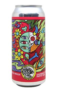 Amundsen Parallel Worlds Raspberry & Tonka Pastry Sour