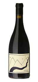 Gentle Folk Blossoms