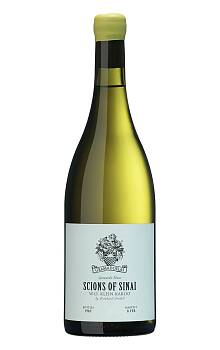 Scions of Sinai Gramadoelas Grenache Blanc