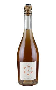 Bois-Brin on Opaline Pét' Nat