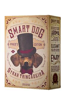 João Portugal Ramos Smart Dog