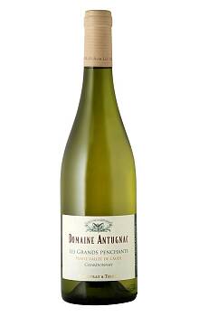Dom. Antugnac Les Grands Penchants Chardonnay