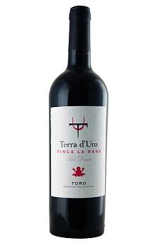 Hacienda Terra d'Uro Finca La Rana