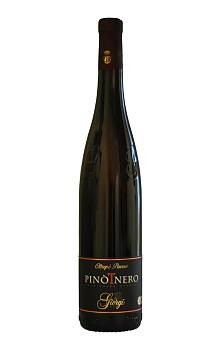 Giorgi Pinot Nero Rosé Frizzante